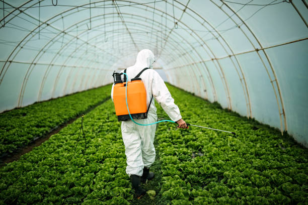 Best Best Pest Control Near Me  in Panaca, NV