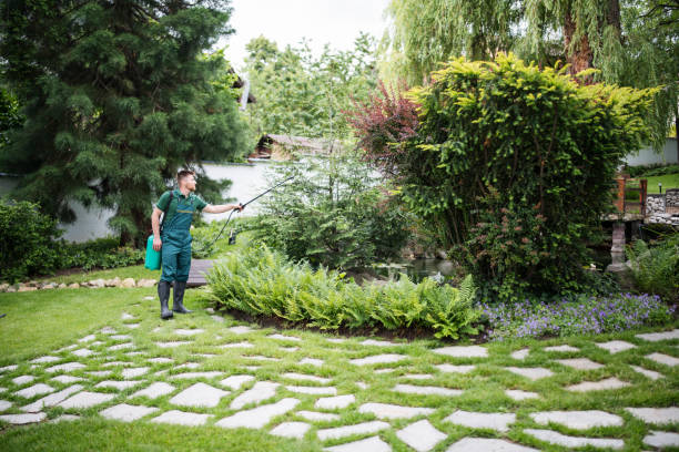 Best Commercial Pest Control Services  in Panaca, NV