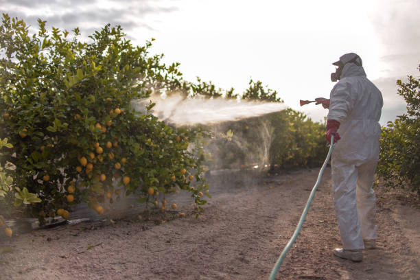 Best Wildlife Control Services  in Panaca, NV