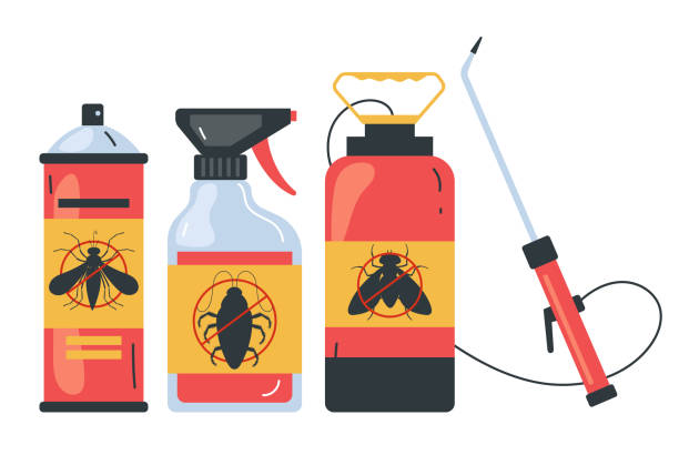 Wasp Removal Services in Panaca, NV