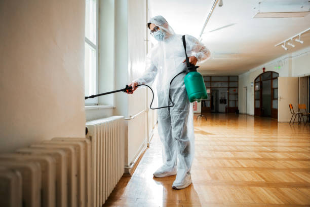 Best Rat Extermination Near Me  in Panaca, NV