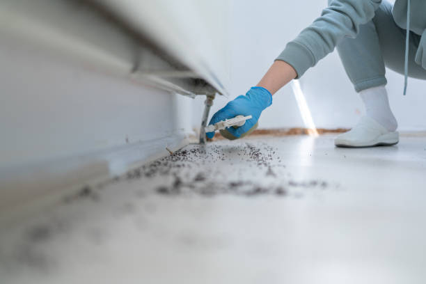 Best Pest Removal Services  in Panaca, NV